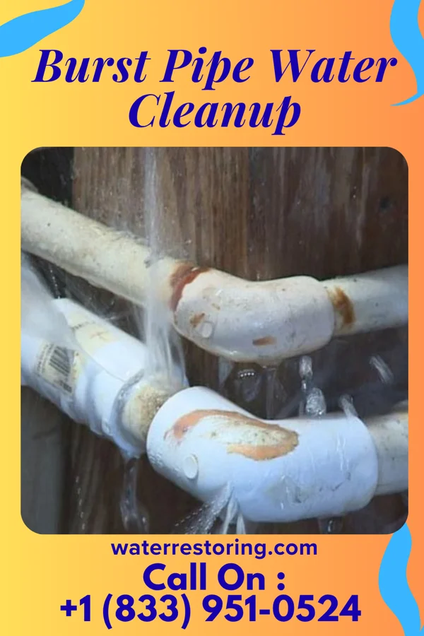 Burst Pipe Water Cleanup in Barclay, NJ