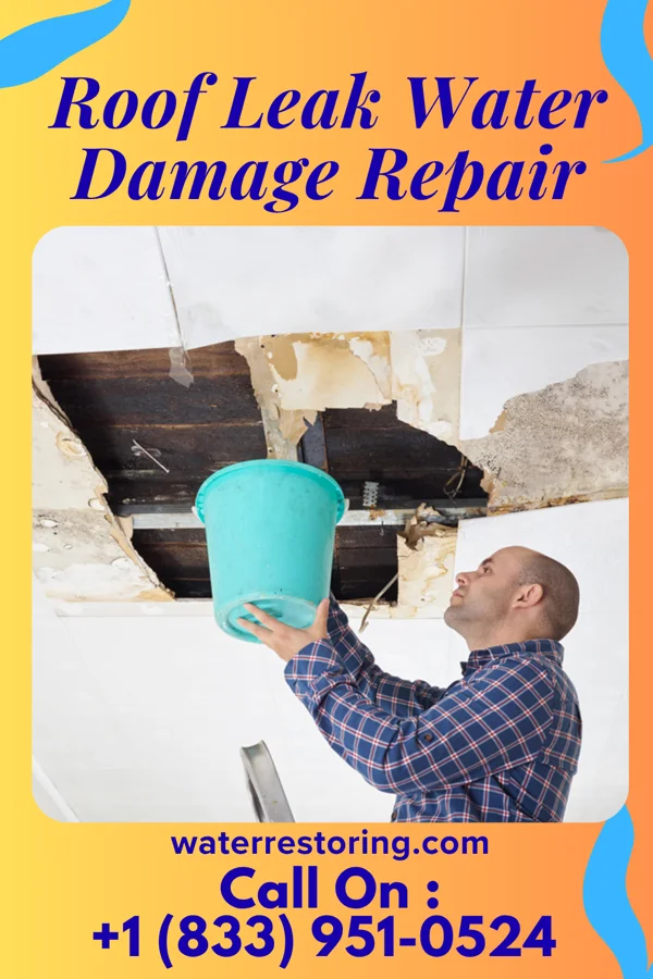 Roof Leak Water Damage Repair in Barclay, NJ