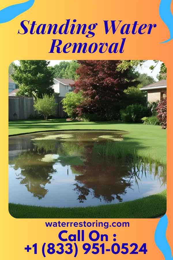 Standing Water Removal in Barclay, NJ
